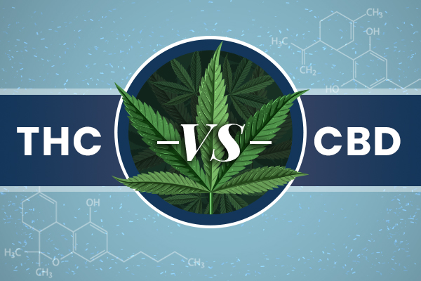 CBD versus THC in Louisiana